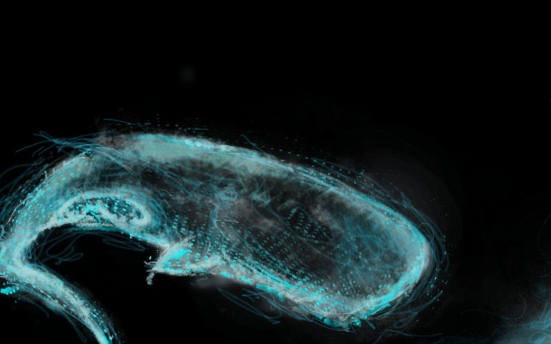 Symphony of the Deep