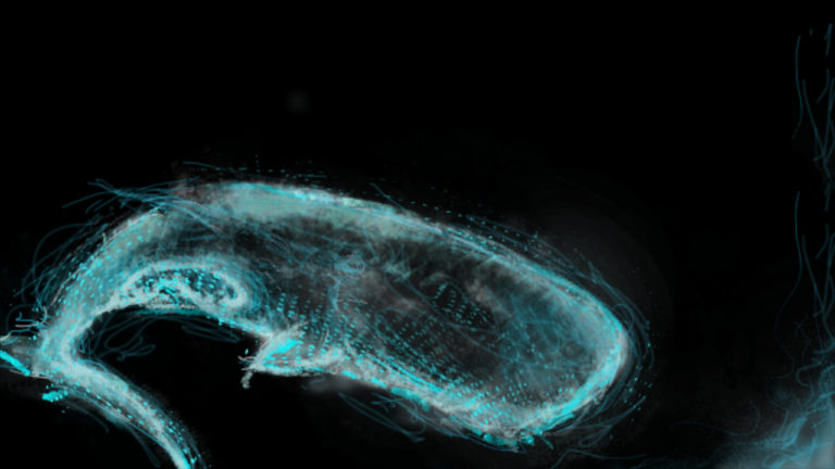 Symphony of the Deep